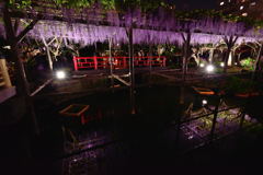 亀戸天神社　平橋