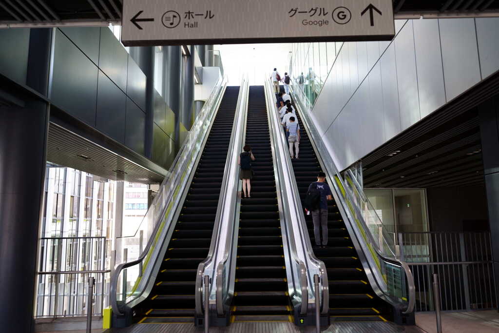 Google↑