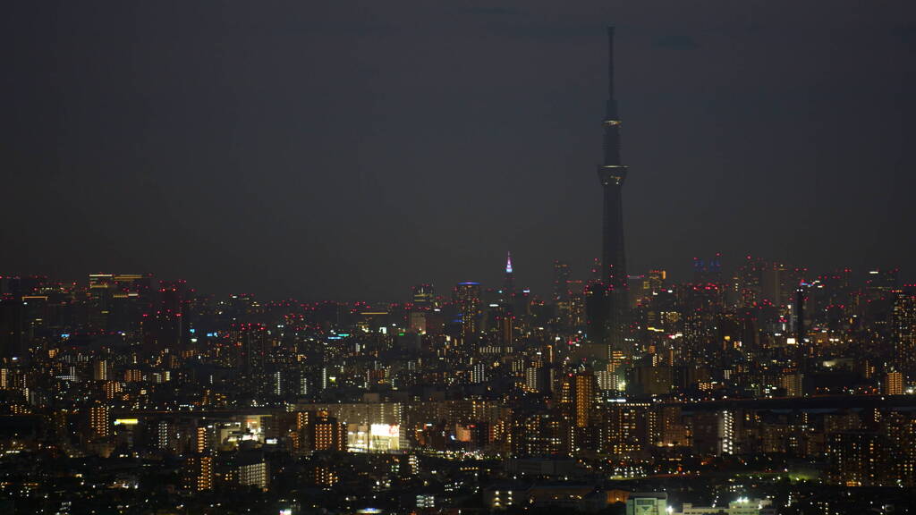 Black Sky Tree