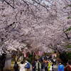 中山法華経寺　参道