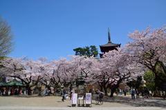 中山法華経寺　五重塔