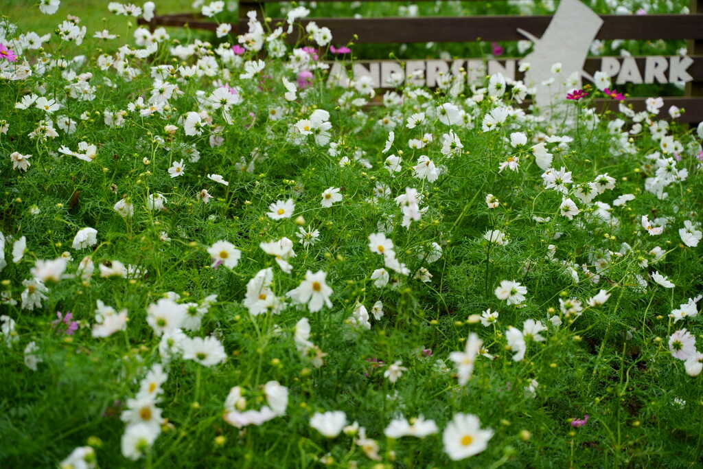 アンデルセン公園