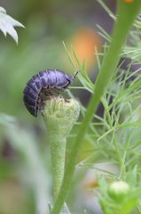 登ったぞぉ～