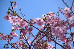 陽光　２