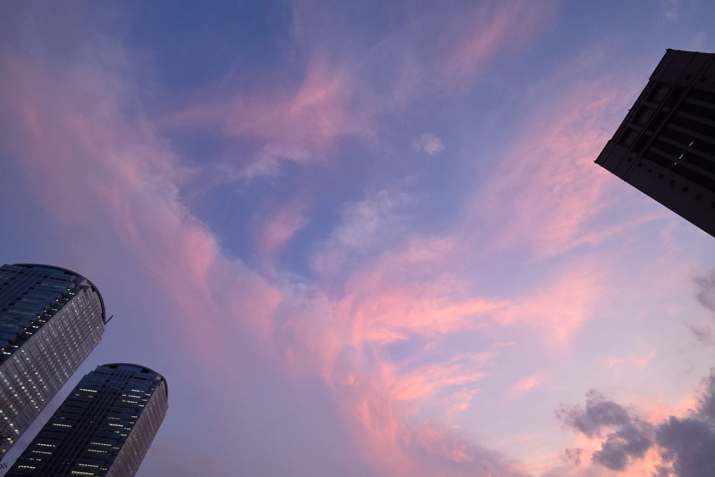 たった今・・・夕景