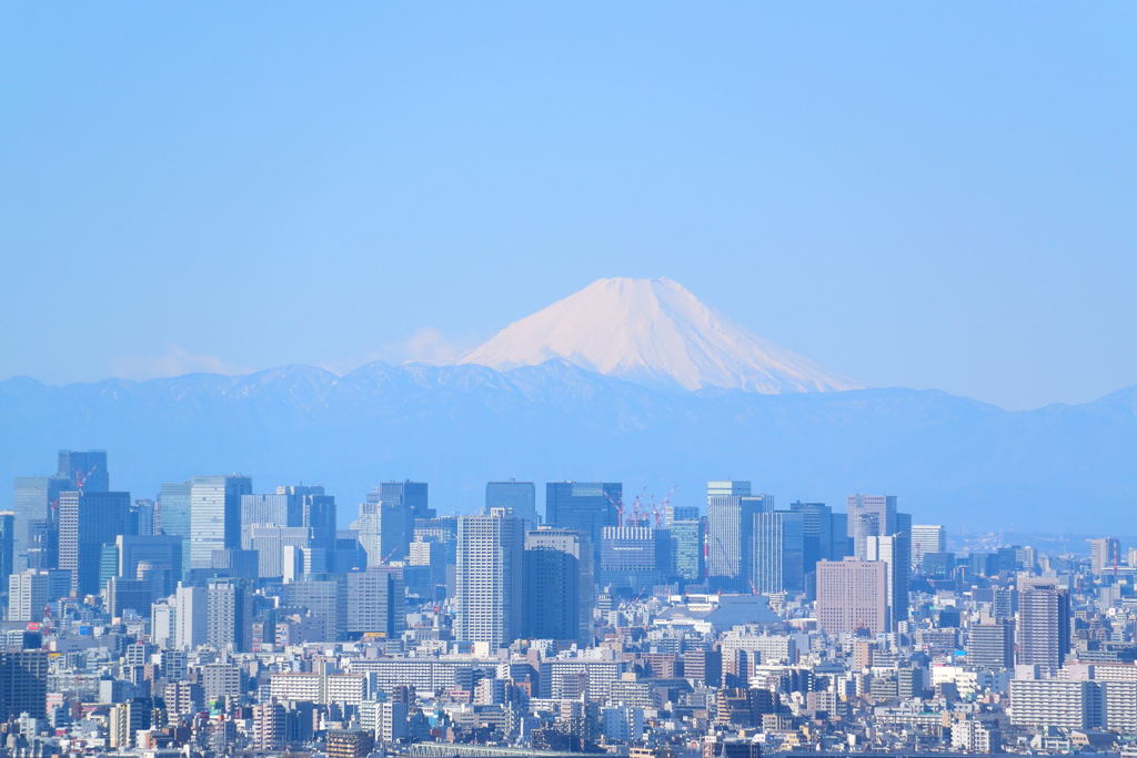 富士山の日