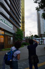 スカイツリーを撮る二人 スカイツリーを撮る二人