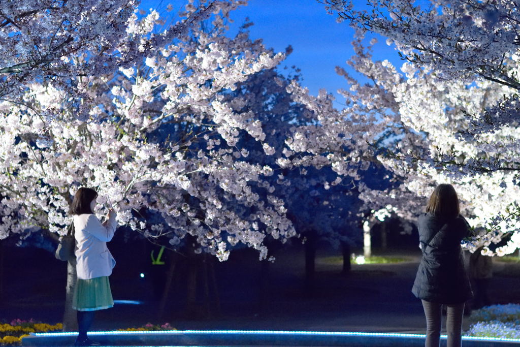 うまく撮れたかな？