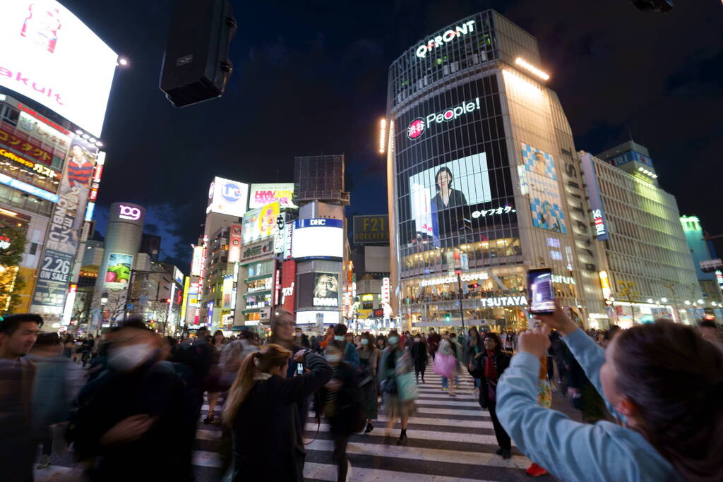 上手く撮れましたか？