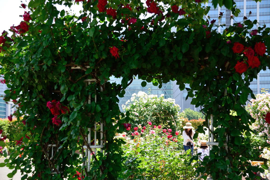 マイフィールド　２