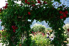 マイフィールド　２