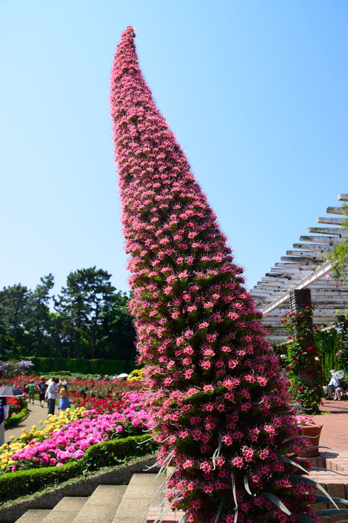 エキウムジュエリータワー　全景