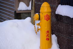 黄色い消火栓