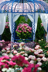 ここで記念撮影を(^o^)