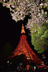 もう桜も見納めですね(^o^)