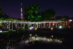 亀戸天神社　東京スカイツリー　幟