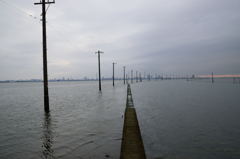 江川海岸の電柱