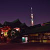 亀戸天神社　終