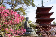 梅と桜と大仏に五重塔