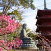 梅と桜と大仏に五重塔