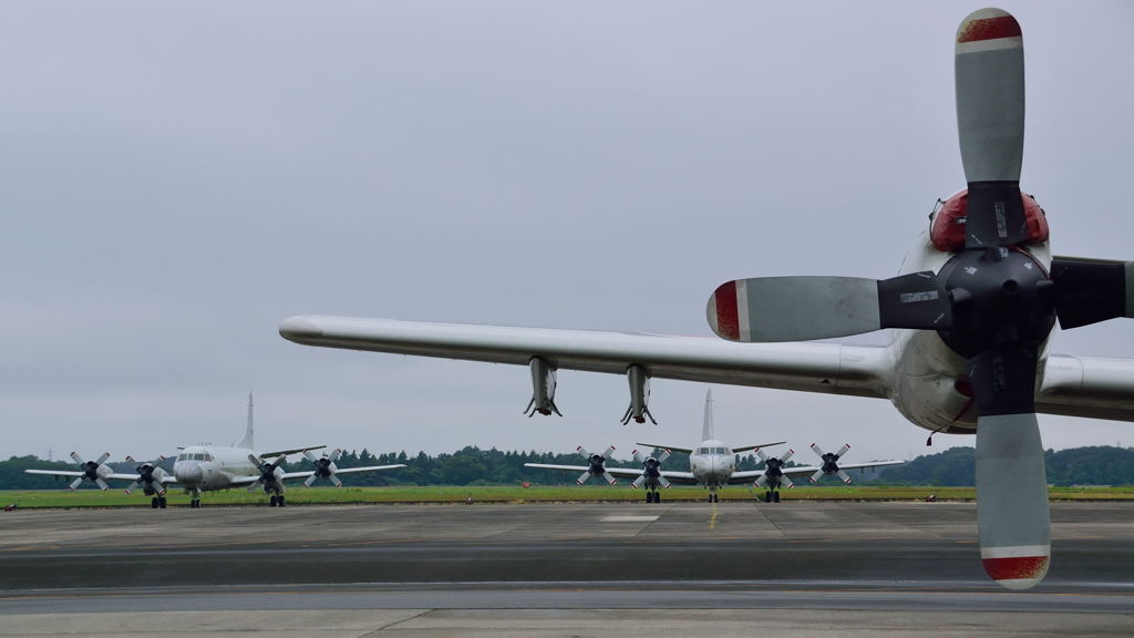 P-3Cを見に行きました....が ^^;