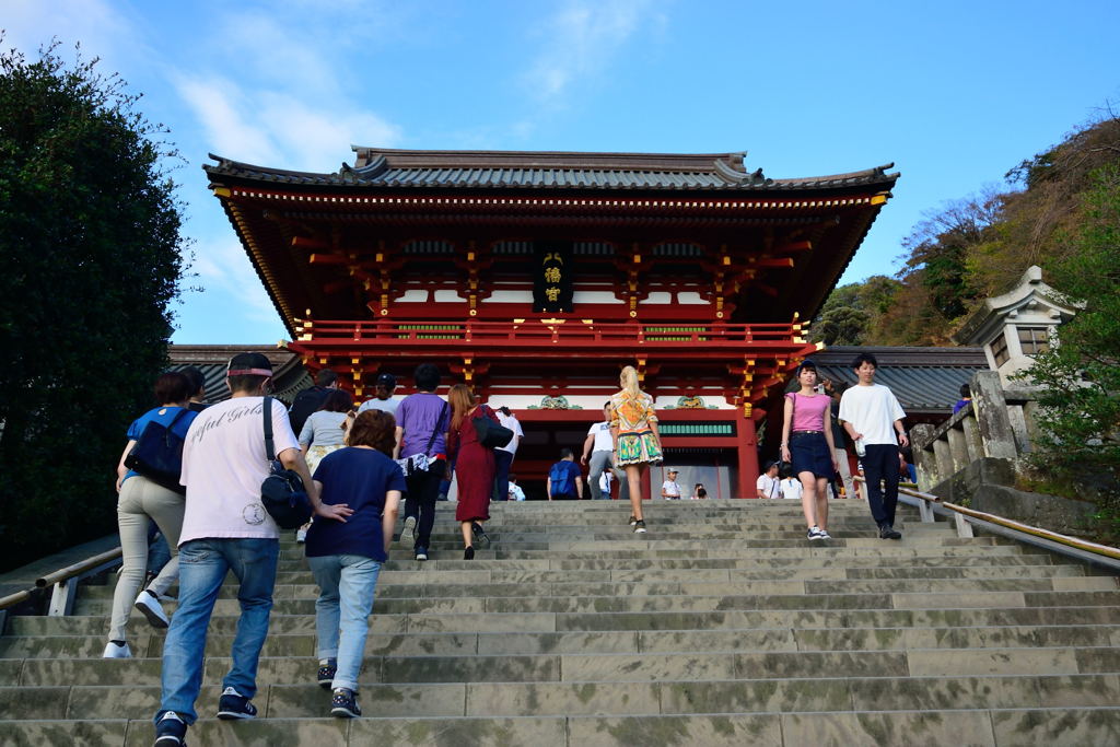 鶴岡八幡宮　本宮