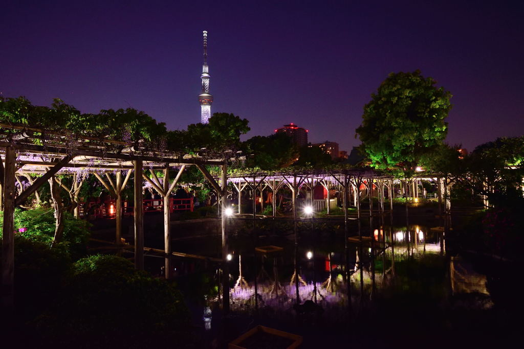 亀戸天神社　東京スカイツリー