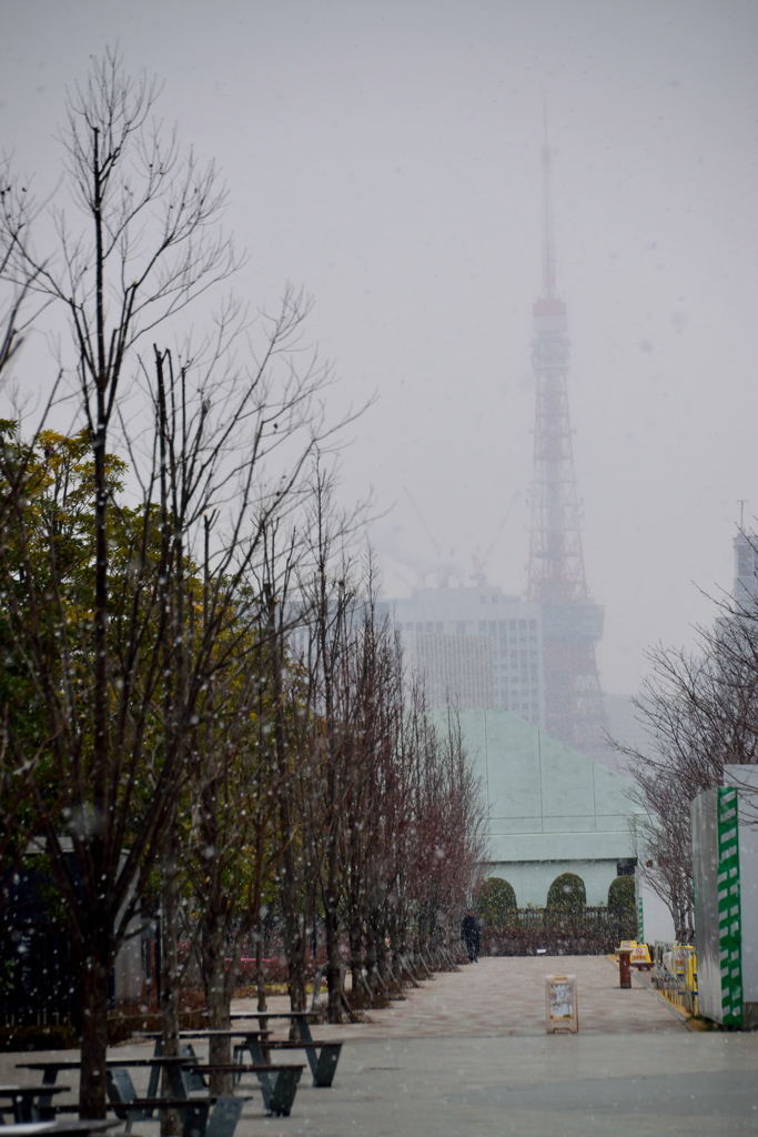 東京タワー　雪