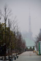 東京タワー　雪