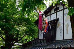 鯉のぼり＋一反木綿 ^^;l