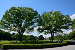 皇居東御苑