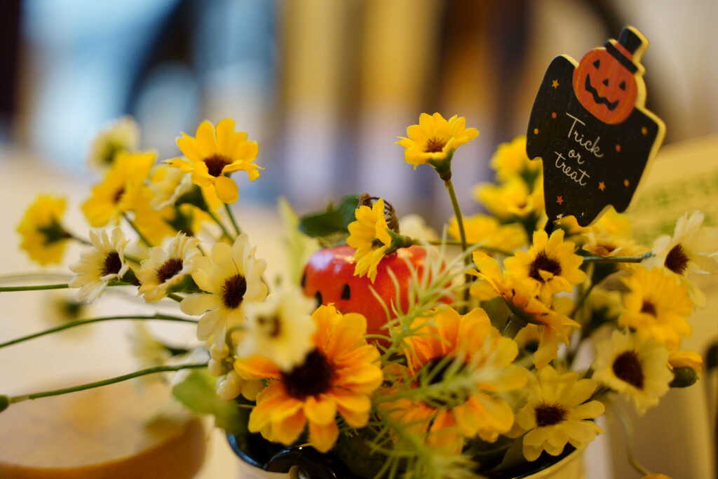 Cafe chou chou