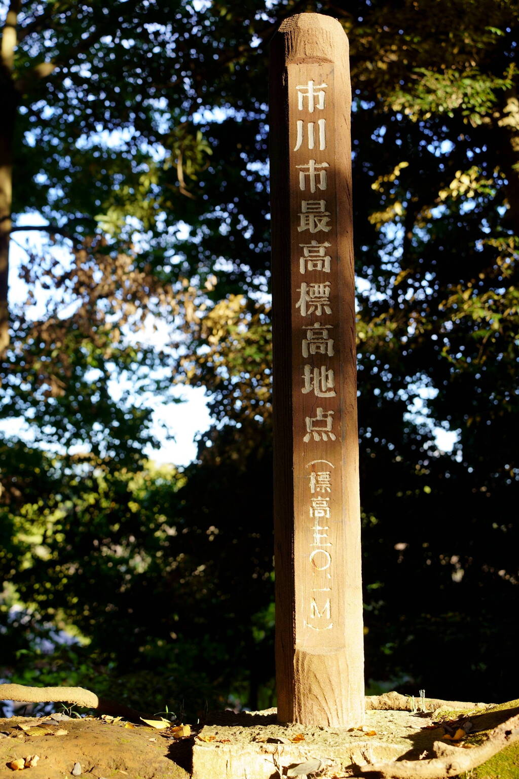 市川市最高標高地点