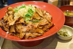 特盛ぶたどん