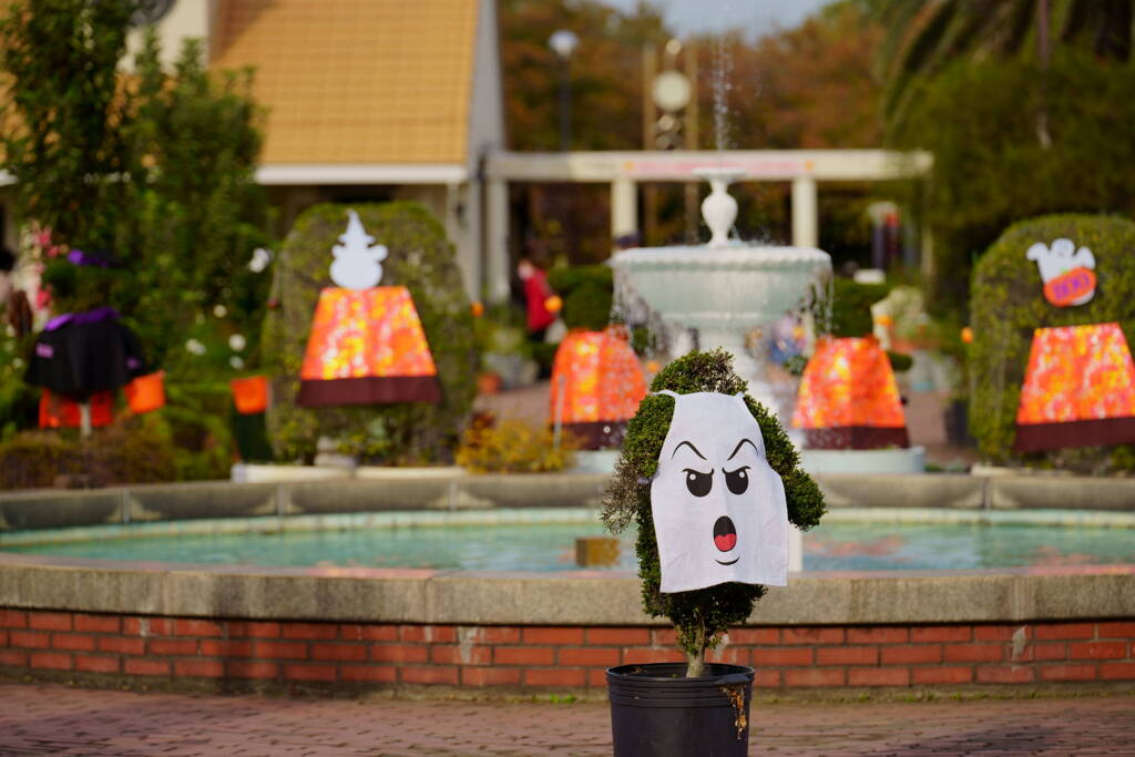 谷津バラ園のハロウィン