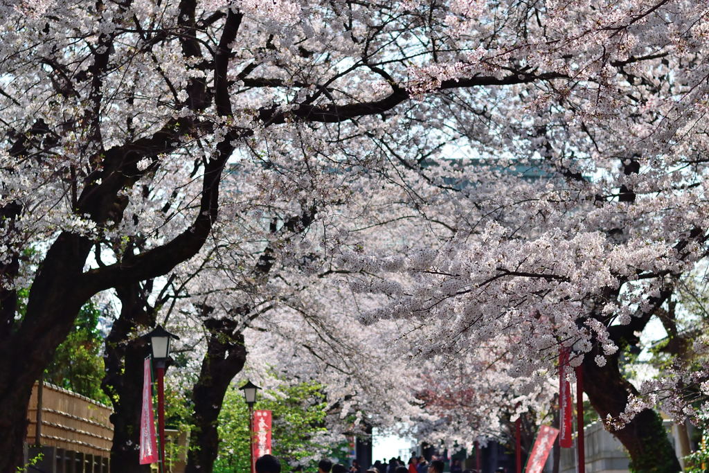 中山法華経寺参道　２