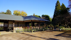 くらしの植物苑