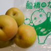 船橋のなし