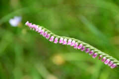 捻じれてなぁ～い