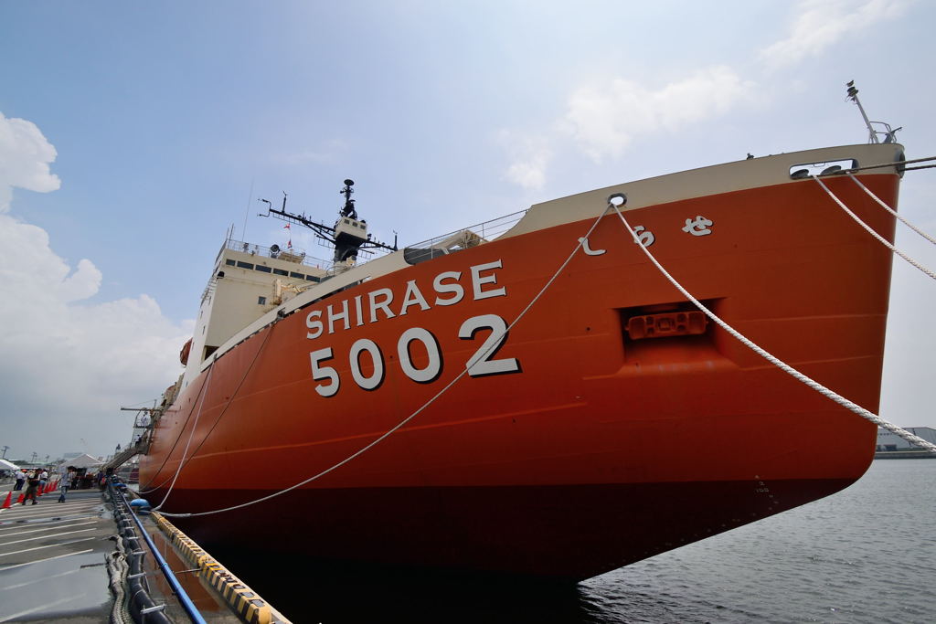 SHIRASE5002