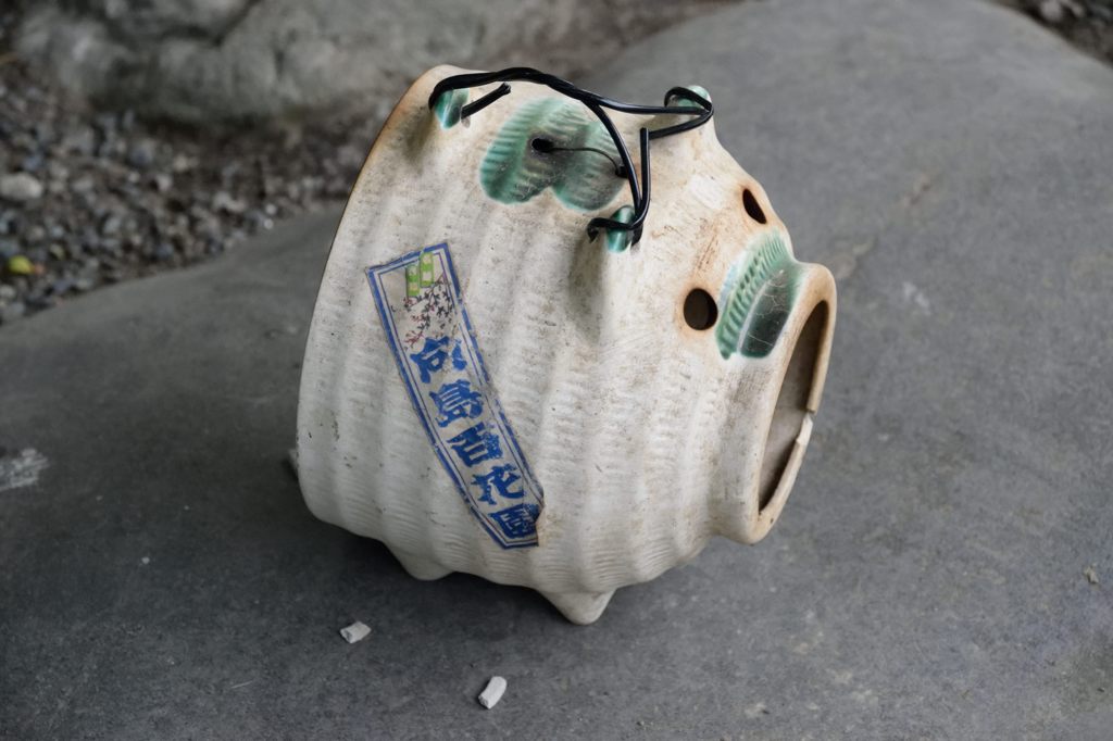 蚊取り豚