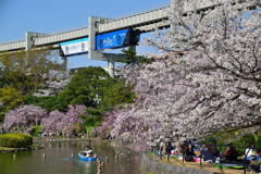 千葉公園　モノレール