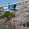 千葉公園　モノレール