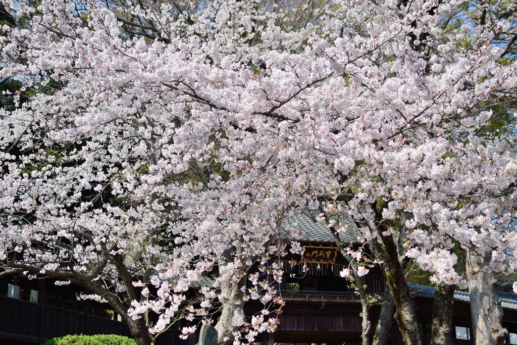 宝殿門