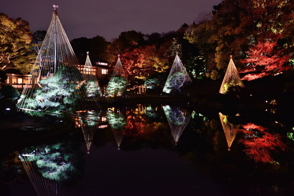 肥後細川庭園　秋の紅葉ライトアップ　１