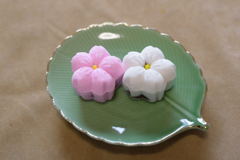 京小物　桜