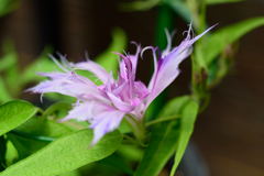 名札がなぁ～～～い！