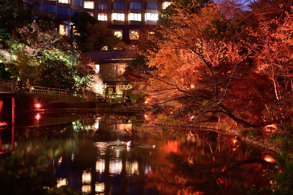 椿山荘　紅葉ライトアップ　赤