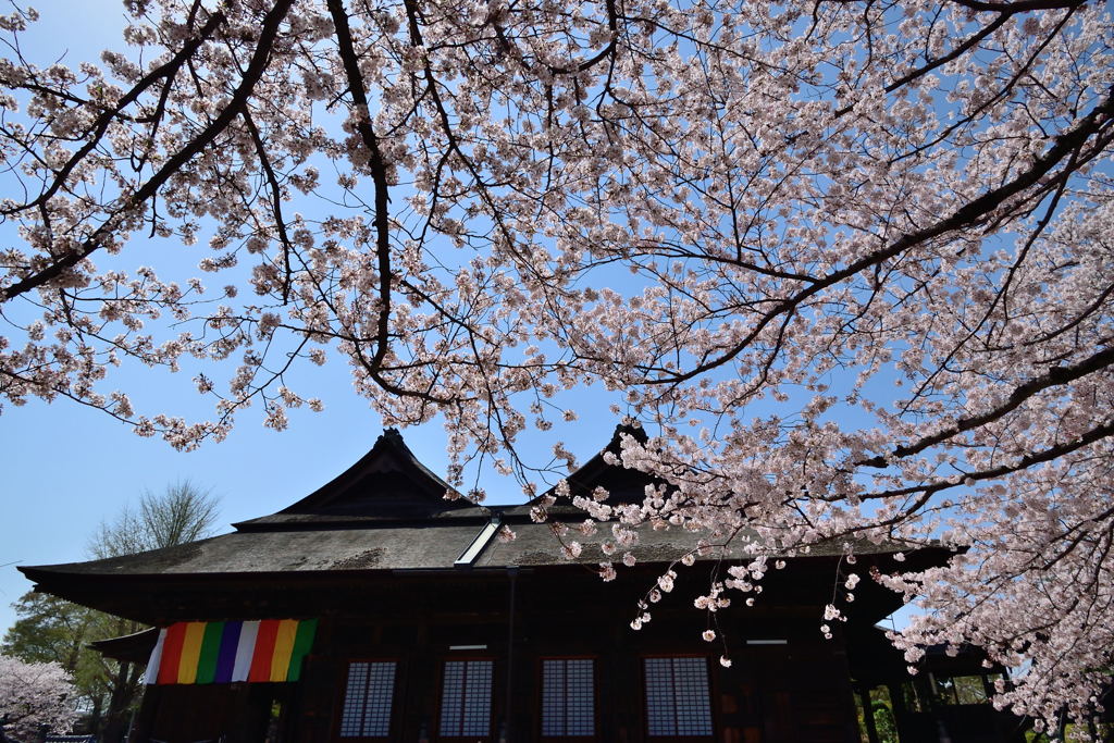 中山法華経寺　祖師堂