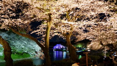 千鳥ヶ淵　５